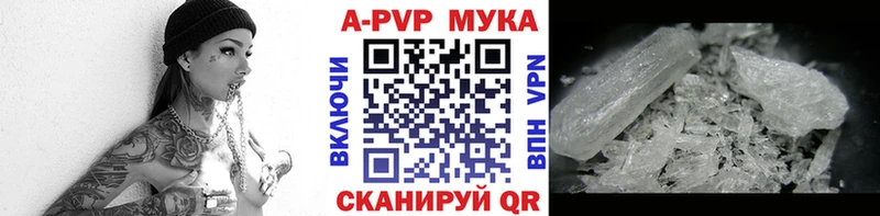 дарнет шоп Долгопрудный мега как зайти Alpha PVP крисы CK