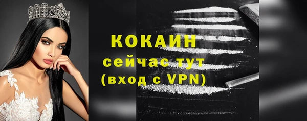 гашик Аркадак