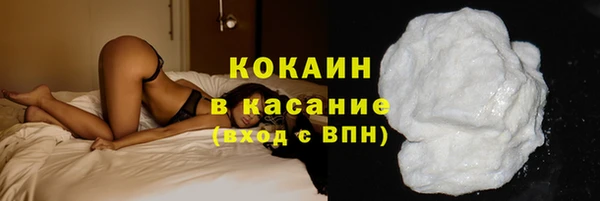 гашик Аркадак
