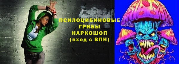 гашик Аркадак